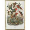 Image 2 : Four Antique Colored Prints of Birds