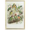 Image 3 : Four Antique Colored Prints of Birds