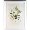 Image 3 : Pair of Framed Botanical Prints