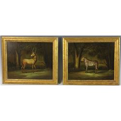 Zebra and Red Stag Deer Oil on Canvases