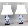 Image 1 : Pair of Chinese Blue and White Lamps
