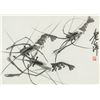 Image 1 : QI BAISHI Chinese 1864-1957 Ink on Paper Framed