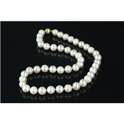 Sterling Silver Gold Clasp Pearl Necklace CRV $752
