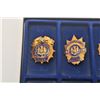 Image 5 : 18DC-7 9 NEW YORK BADGES