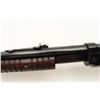 Image 10 : 18EF-30 WINCHESTER 62 #669306