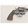 Image 6 : 18CY-38 COLT OFF MDL TGT #310000