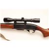 Image 7 : 18CW-29 REMINGTON 740 #144177