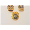 Image 2 : 18DC-22 BADGE LOT