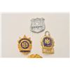 Image 3 : 18DC-22 BADGE LOT