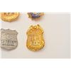 Image 2 : 18DC-22A BADGE LOT