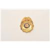 Image 1 : 18DC-35 SUFFOLK CO SHERIFF BADGE
