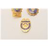 Image 2 : 18DC-26D BADGE LOT