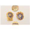 Image 3 : 18DC-26D BADGE LOT