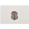 Image 2 : 18DC-82 DEPUTY CUSTER CO BADGE