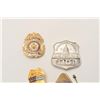 Image 3 : 18DC-76A BADGE LOT