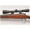 Image 8 : 18FF-15 REMINGTON 70 #6646320