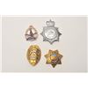 Image 1 : 18DC-91A BADGE LOT