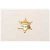 Image 1 : 18DC-64 DEPUTY SHERIFF BADGE