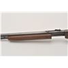 Image 8 : 18FF-1 SAVAGE