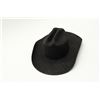 Image 3 : 18BF-114 COWBOY HAT