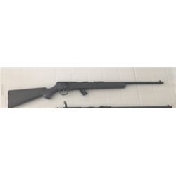 Remington .22 caliber bolt action with 10 shot clip