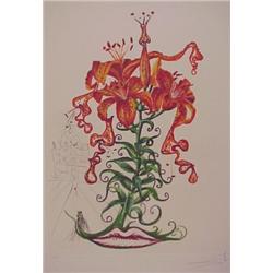 Salvador Dali (1904-1989) Spanish, LILIUM AURATIUM ET LABRA BAROCANTIA (M.546; F.72-7O), 1972,...