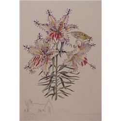 Salvador Dali (1904-1989) Spanish, LILIUM AURATIUM FORMICANS (M.548; F.72-7K), 1972, etching an...