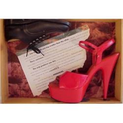 Erika Rothenberg (20th Century) American, SHOE BOX, 1994, two shoes with collage and watercolor...