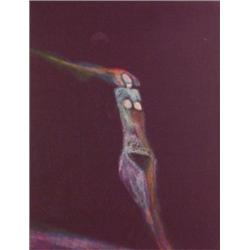 Fritz Scholder (b. 1937) American, WOMAN, color lithograph, signed in pencil, from the numbered...