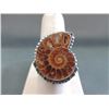 Image 1 : Custom Made Sterling Silver Ammonite Ring