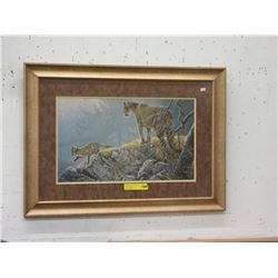 Framed Robert Bateman Cougar Print