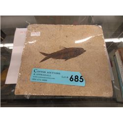 Green River Formation Fossil