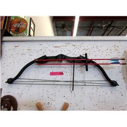 Compound Bow with 2 Arrows