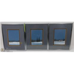 LOT OF 3  PRINTS BY JOSH KOLAY FRAMED AND MATTED