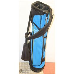 PING GOLF BAG