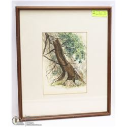 WATERCOLOUR MATTED FRAMED TREE