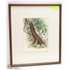 Image 1 : WATERCOLOUR MATTED FRAMED TREE