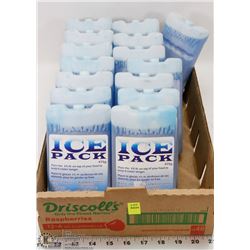FLAT OF ICE PACKS