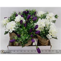 FLAT OF RUSTIC POTTED FLOWERS