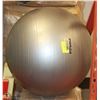 Image 1 : FORZA EXERCISE BALL 26"