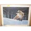Image 1 : SIGNED, LTD EDITION PRINT OF A FOX BY ROD