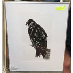 ALISTAIR BELL LIMITED EDITION "TURKEY VULTURE"