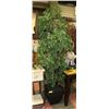 Image 1 : LARGE DECORATIVE PLASTIC TREE WITH BLACK POT