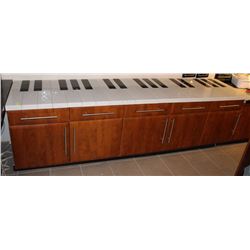 CABINET WITH GRANITE PIANO STYLE OVERLAY