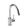 Image 1 : RIOBEL BORA PULL DOWN SPRAY KITCHEN FAUCET