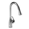 Image 1 : RIOBEL FLO PULL DOWN SPRAY KITCHEN FAUCET