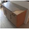 Image 2 : WOOD STYLE COUNTER WITH TERRA OMBRA OVERLAY