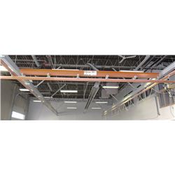 GENERAL CRANE 500KG CRANE HOIST WITH PANEL HOIST