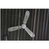Image 1 : TWO 48" CEILING FANS