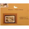 Image 2 : 1999 Arizona-Snow Goose Waterfowl $5.50 Stamp. Mint Condition with literature, unsigned.